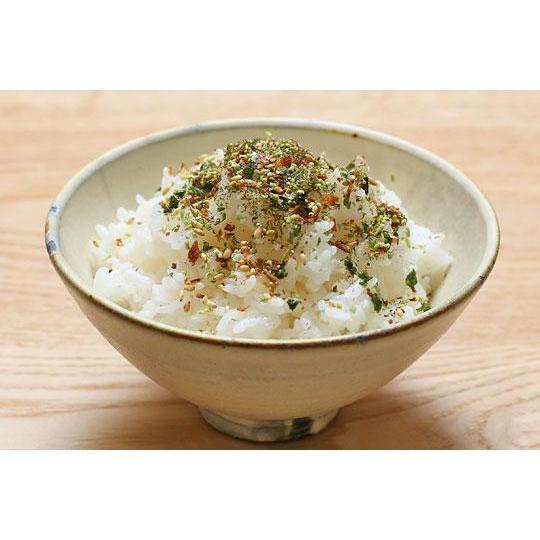 Nagatanien Otona no Furikake Rice Seasoning Wasabi 8.4g - Image 2